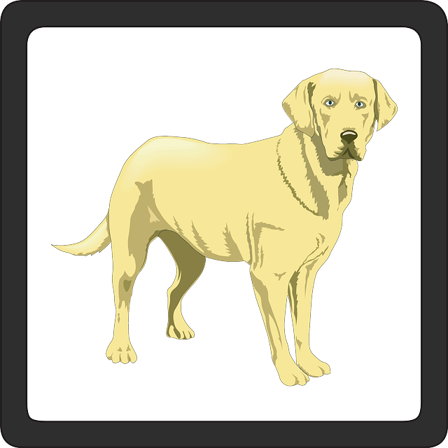 licenses-and-permits-640x480-31781430.png