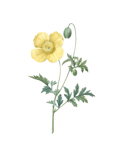 Medical Journals and Articles