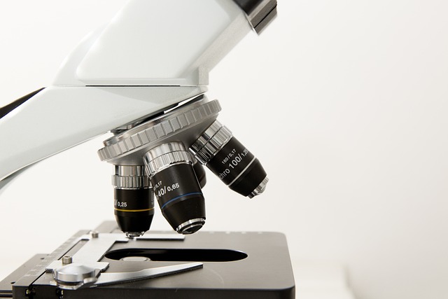Medical Licensing Examination Materials