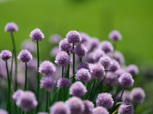 Meeting Minutes and Board Resolutions