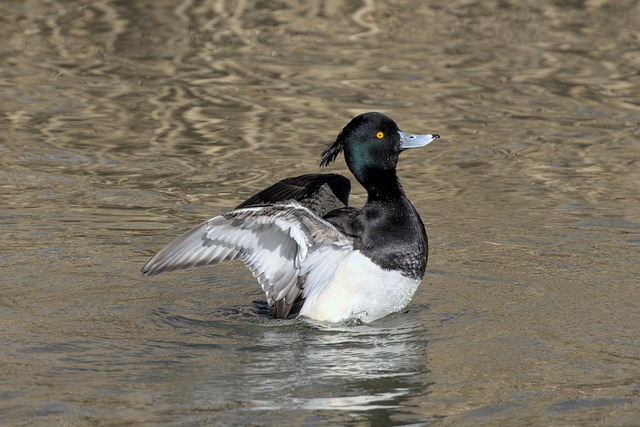 Pension Fund Documentation