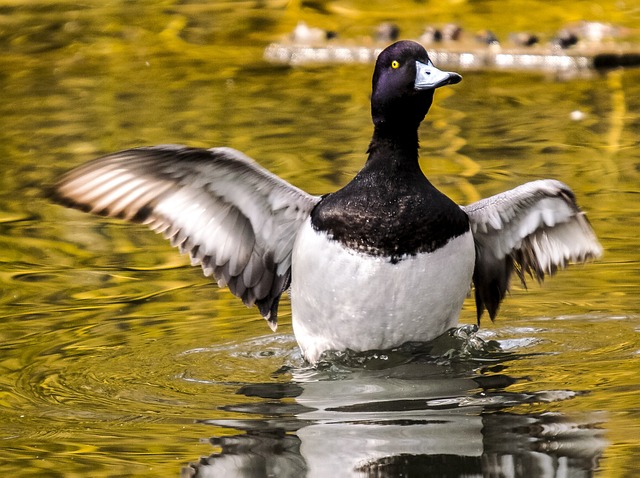 Pension Fund Documentation