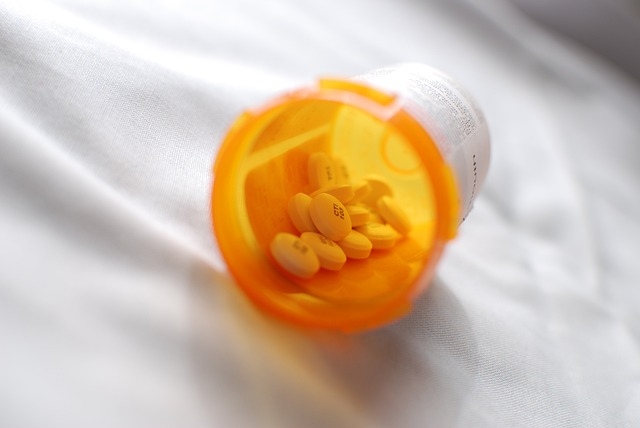 Pharmaceutical Manufacturing Guidelines