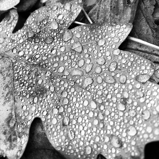 Product Information Leaflets