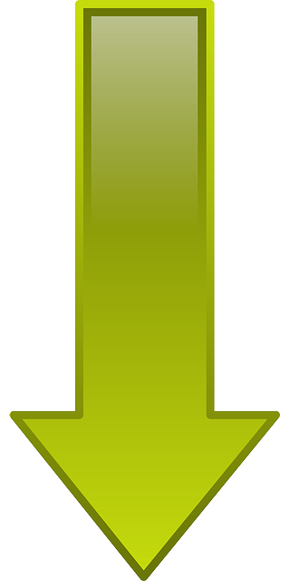 Profit and Loss Statements