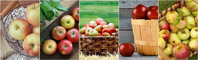 Profit and Loss Statements