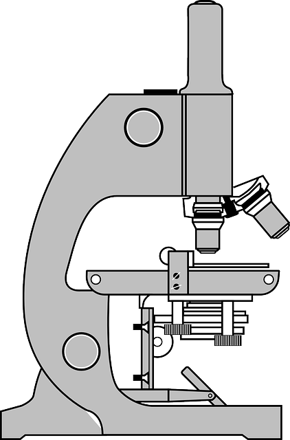 Scientific Methodology Manuals