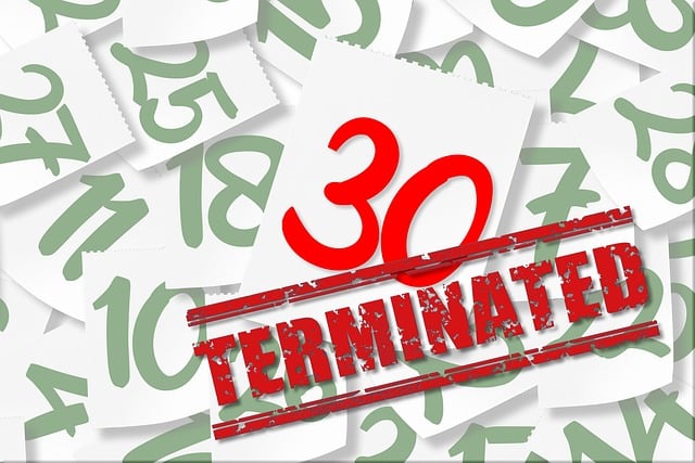 Supplier and Vendor Contracts