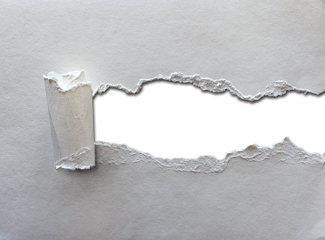 Technical Reports and White Papers