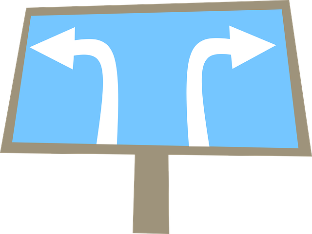 User Manuals and Instruction Guides