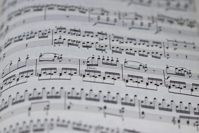 Optimizing Vaccine Visibility: Translation Services for UK Patients