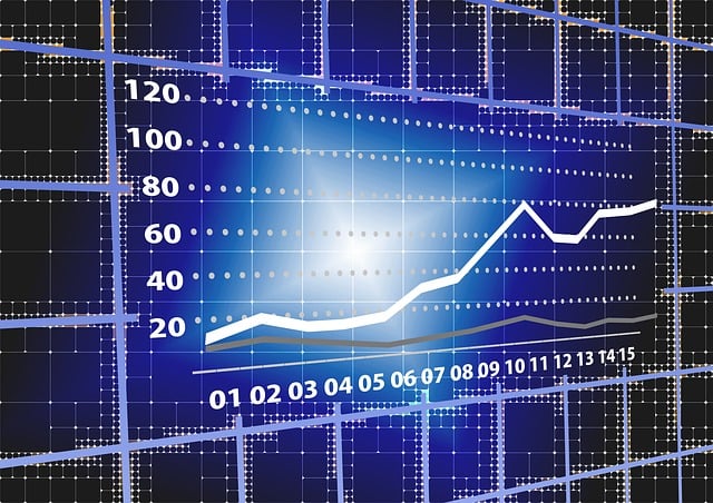 Business Valuation Reports