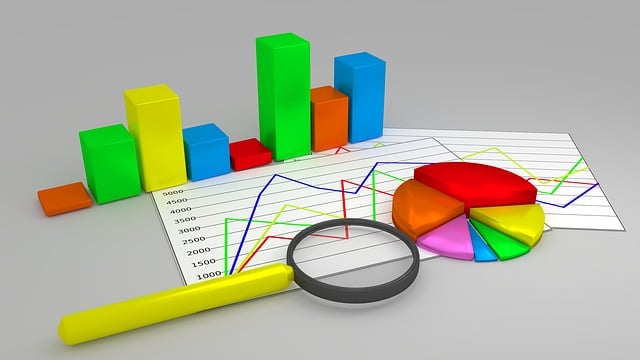 Business Valuation Reports