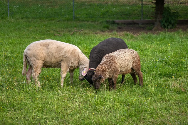 Confidentiality Agreements