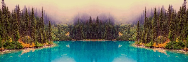 Corporate Bylaws and Articles of Incorporation