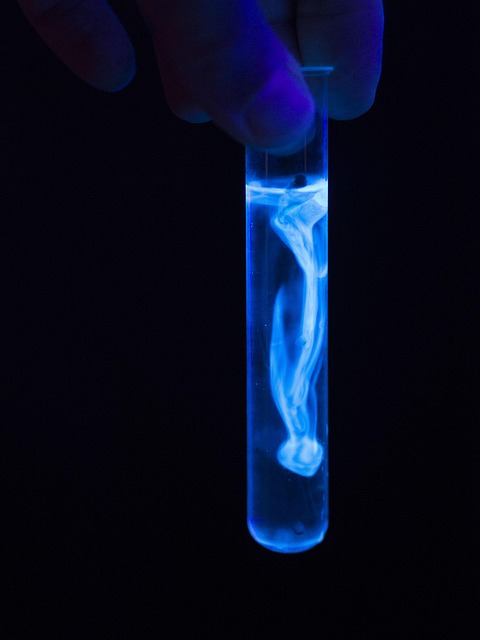 Diagnostic Test Results