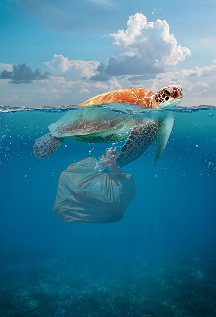 Environmental and Social Responsibility Reports