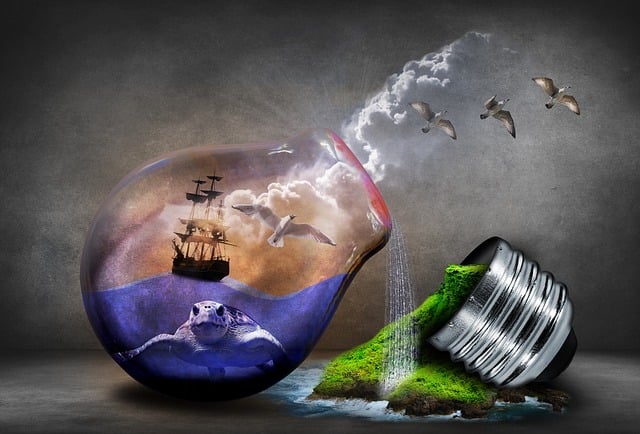 Environmental Compliance Documents