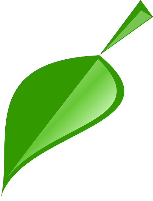 Environmental Compliance Documents