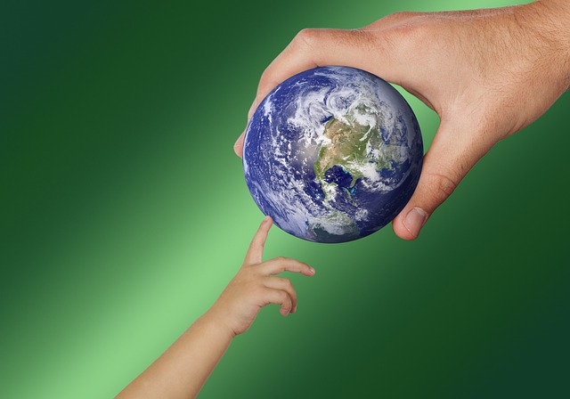 Environmental Impact Assessments
