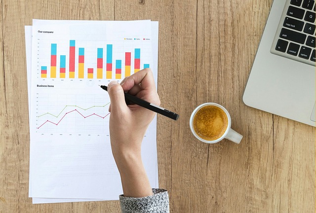Financial Audit Reports