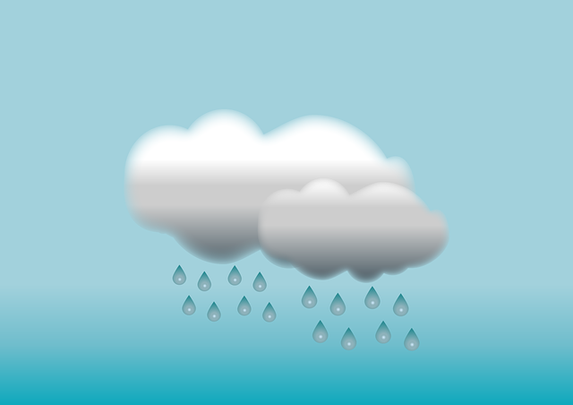 Financial Forecasts and Projections