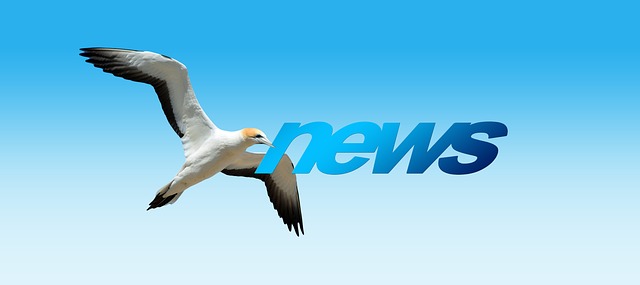 Financial Newsletters and Bulletins