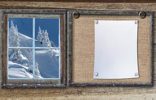 Financial Newsletters and Bulletins