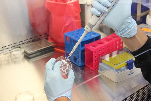 Grant Proposals for Scientific Research
