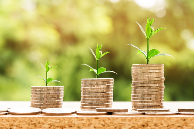 Internal Financial Policies and Procedures