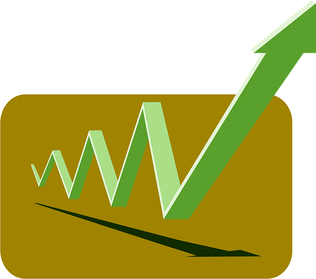 Internal Financial Policies and Procedures