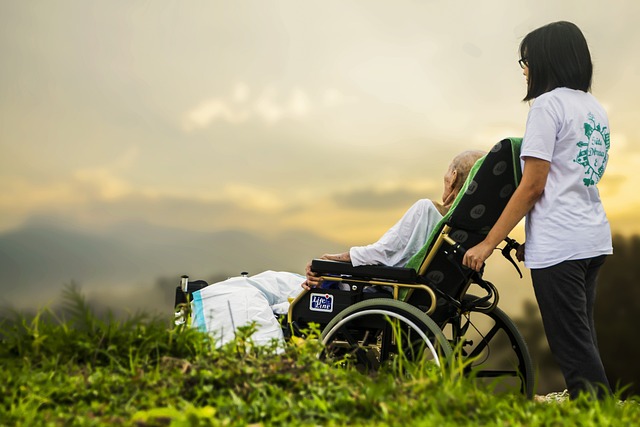 Navigating UK Regulations: Optimizing Translation for Patient Discharge Summaries