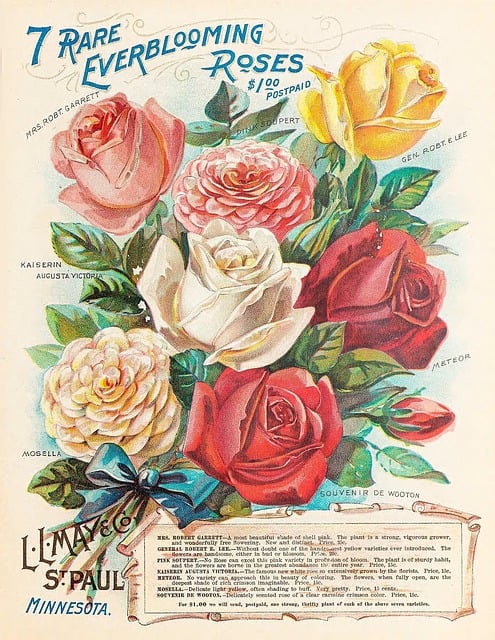 Product Catalogs