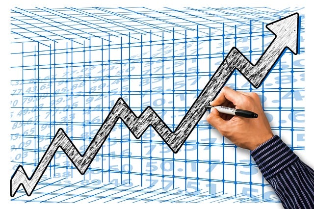 Profit and Loss Statements