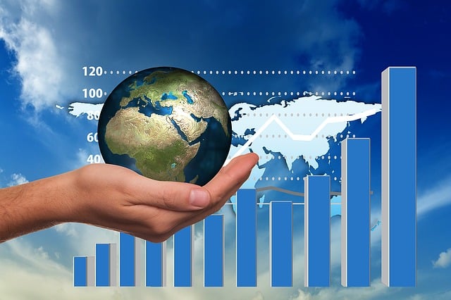 Profit and Loss Statements