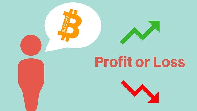 Profit and Loss Statements
