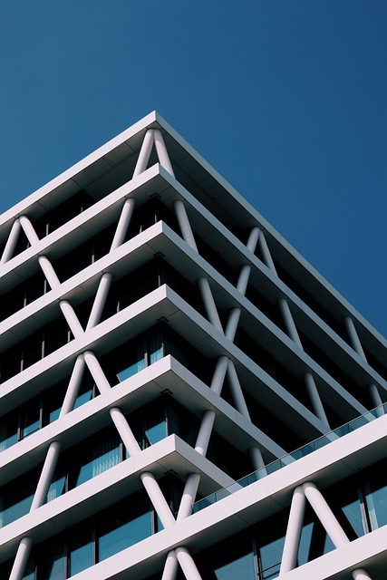 Real Estate Appraisals and Financial Documents