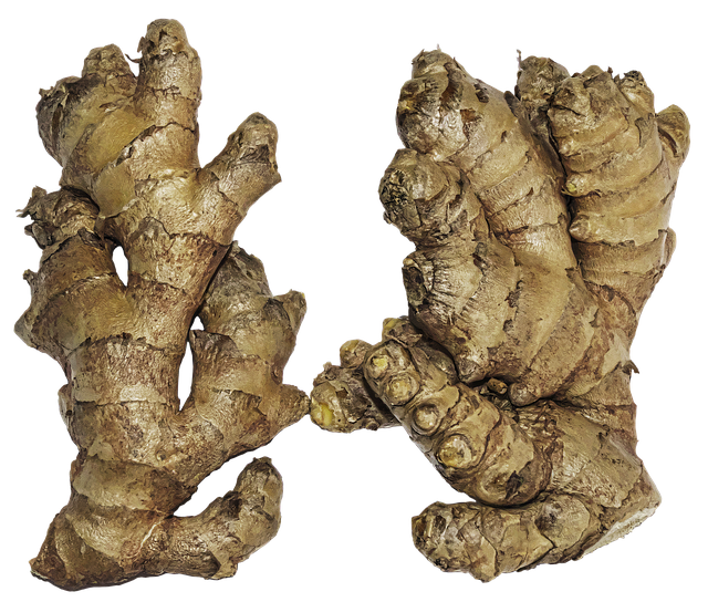 Regulatory Documents for Drug Approval