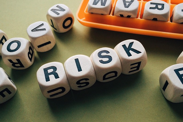 Risk Assessment Reports