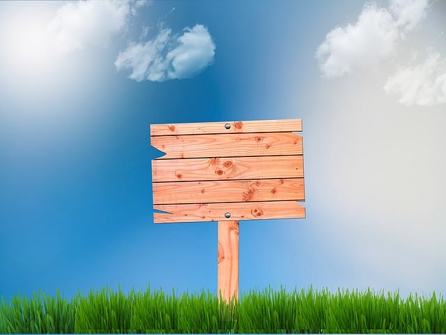 Sales Proposals and Presentations