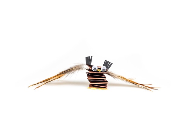 Surgical Procedure Instructions