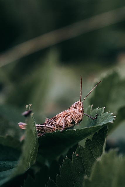 Technical Specifications and Data Sheets