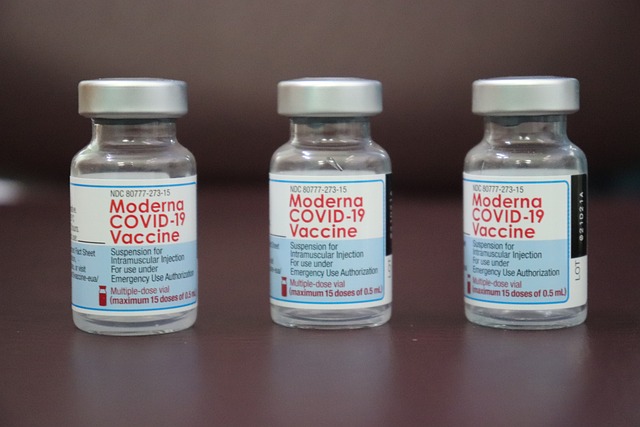Ensuring VIS Clarity: Translation Services for UK Vaccine Safety