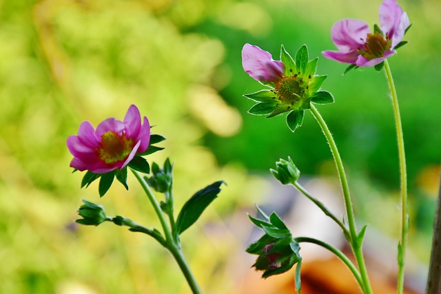 Wills and Trusts