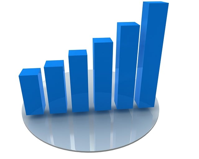 Auditor Reports