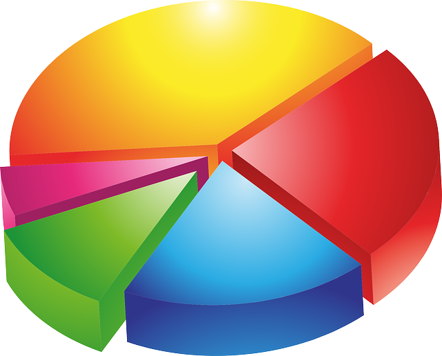 Auditor Reports