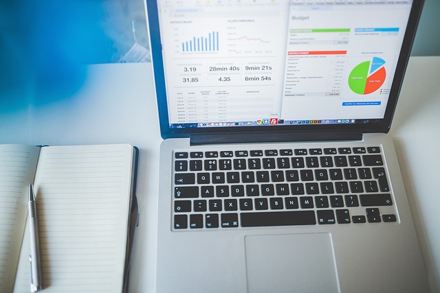 Business Valuation Reports