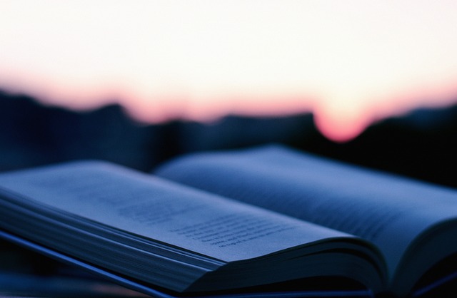Clinical Study Reports