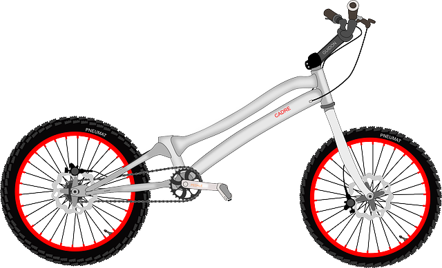 Clinical Trial Reports