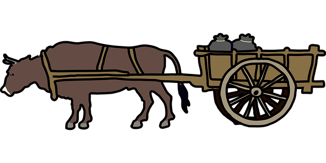Customs and Trade